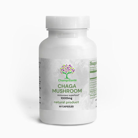 Champignon Chaga